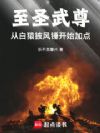 至圣武尊:从白猿披风锤开始加点
