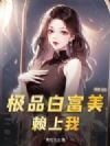 小司机的巅峰之路
